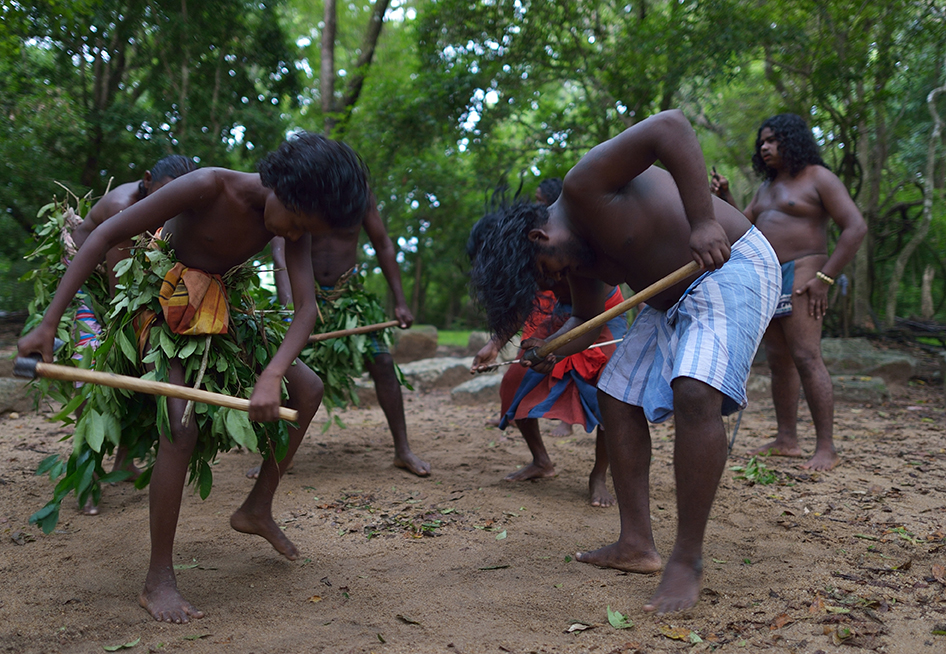 Indigenous Heritage Experience