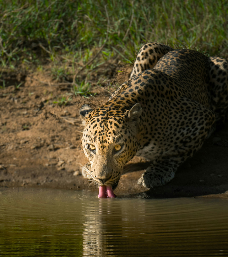 Nature’s Hidden Wonders